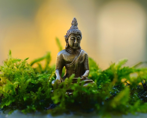 Buddha reflectie vierkant